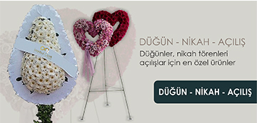 https://www.istanbulcicekevi.com/